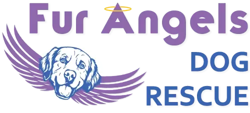 Fur Angels Dog Rescue dog resort logo representing trusted dog care services in petaluma and sonoma county